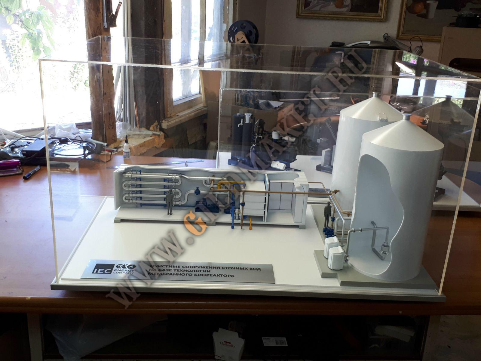 20170814_100541—kopiya