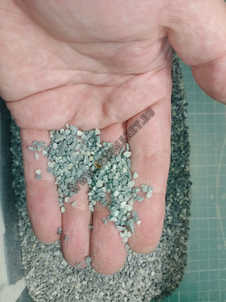 photo_27_2026-03-22_16-34-02